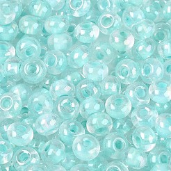 Fgb Innenfarben transparente Glasperlen&nbsp;SEED-T009-01C