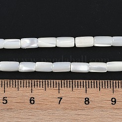 Natürlichen Süßwasser-Muschelperlen Stränge&nbsp;BSHE-H109-16