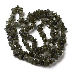 Perline labradorite naturale fili&nbsp;G-F771-B01-01