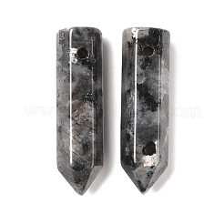 Pendentifs pointus en larvikite naturelle&nbsp;G-D460-01A