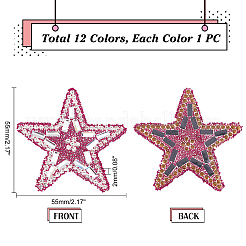 12 Stück 12 Farben Stern Glitzer Hotfix Strass&nbsp;DIY-PH0006-97