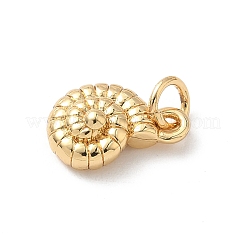 Colgantes de latón&nbsp;KK-L239-055G-05