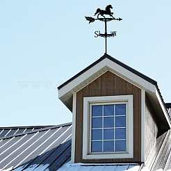 Windrichtungsanzeiger aus Eisen&nbsp;AJEW-WH0265-027