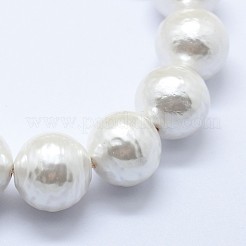 Chapelets de perles de coquille&nbsp;BSHE-K053-02-10mm