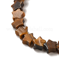 Natürlichen Tigerauge Perlen Stränge&nbsp;G-G085-B03-01