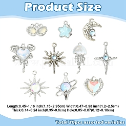 20 Stück 10 Stile Legierung Harz Anhänger&nbsp;FIND-YW0012-76