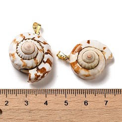 Natürliche Spirale Shell Anhänger&nbsp;SSHEL-H071-05G