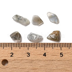 Natur Labradorit Perlen&nbsp;G-O103-33