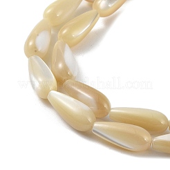 Perle di conchiglia di troco naturale&nbsp;PEAR-B002-01A-B