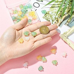 40 Stück 4 Farben galvanisieren transparente Glasperlen&nbsp;GLAA-CJ0002-90
