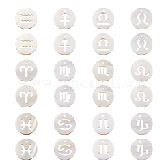 24pcs 12 natürliche Süßwasser-Muschel-Charms&nbsp;SHEL-KS0001-04