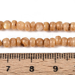 Brins de perles d'eau douce naturelles teints en coquille&nbsp;SHEL-T020-29A-04