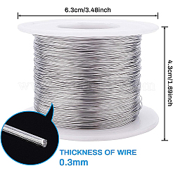 Fil d'acier inoxydable 304&nbsp;TWIR-WH0002-05-0.3mm