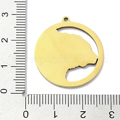 201 colgantes de acero inoxidable&nbsp;STAS-R118-04G
