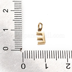 Breloques en acier inoxydable 304&nbsp;SA-CBABF3F-01G-E