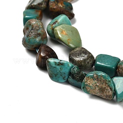 Natur hubei türkisfarbenen Perlen Stränge&nbsp;X-G-P497-01E-19