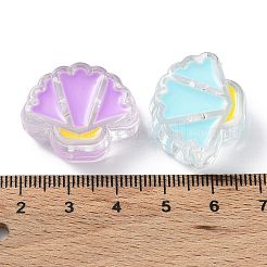Transparentem Acryl europäischen Perlen&nbsp;OACR-A029-04