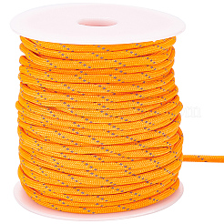 30 m leuchtende Polyesterschnur&nbsp;AJEW-SP0004-86B