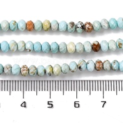 Natürliche Howlith Perlen Stränge&nbsp;X-G-H025-03C-09