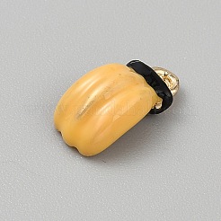 Pendentifs d'émail en alliage&nbsp;FIND-CJC0024-48G