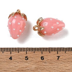 Ciondoli di resina&nbsp;FIND-C096-01G-11