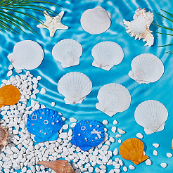 80 Stück natürliche Muschelornamente&nbsp;DIY-WA0001-03