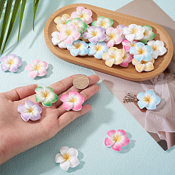 28 Stück 7 Farben Plumeria Blume undurchsichtige Harz Cabochons&nbsp;CRES-TA0001-75