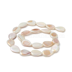Fili di perline di conchiglia d'acqua dolce naturali placcati color ab&nbsp;BSHE-G033-02