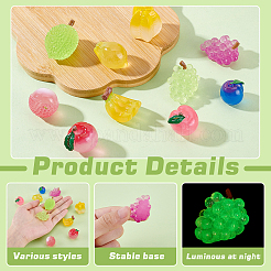 30 pièce de 10 styles de décorations lumineuses en résine pour présentoir de fruits&nbsp;DJEW-GA0001-74