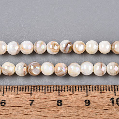 Chapelets de perles de coquille d'eau douce naturelles de couleur AB&nbsp;BSHE-T014-40B