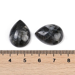 Cabochons de larvikite naturelle&nbsp;G-H094-01A-15