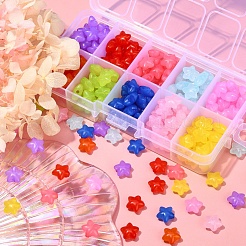 240pcs 10 Farben transparente Acrylperlen&nbsp;MACR-YW0001-89