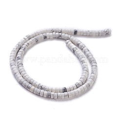 Fili di perline howlite naturale&nbsp;G-F631-A03