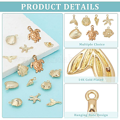 14 Stück Messing-Charms in 7 Stilen mit Meeresmotiven&nbsp;FIND-PH0022-95
