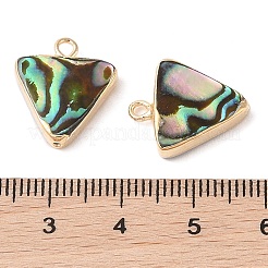 Pendentifs en paua naturel&nbsp;SHEL-P017-20G