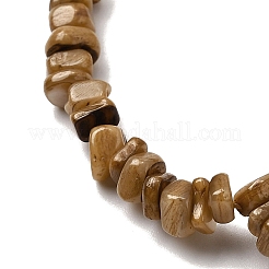 Perles de coquillages naturels d'eau douce&nbsp;SHEL-B003-01D