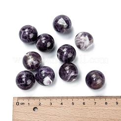 Natürlichen Amethyst Perlen&nbsp;G-L564-004-C01