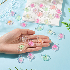 30 pendentif en acrylique transparent et poudre pailletée&nbsp;TACR-TA0001-91