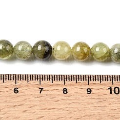 Natürlichen grünen Granat Perlen Stränge&nbsp;G-G344-A04-8mm