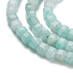 Fili di perline amazonite naturale&nbsp;G-H042-B16-01