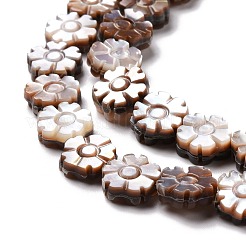 Natürliche lila Muschelperlenstränge&nbsp;SSHEL-G023-13B
