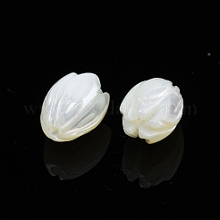 Natürliche Trochidschale / Trochusschalenperlen&nbsp;SSHEL-T014-33