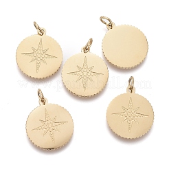 Pendentifs en acier inoxydable 304 avec placage ionique (IP)&nbsp;STAS-H100-39G
