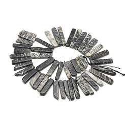 Natürliche schwarze Seide Stein / Netstone Perlen Stränge&nbsp;G-R419-11