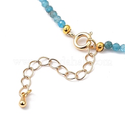 Collares de cuentas de apatita natural&nbsp;NJEW-JN02990-03