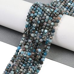 Perline apatite naturale fili&nbsp;G-F782-B05-03
