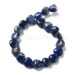 Natur Sodalith Perlen Stränge&nbsp;G-P528-C09-01