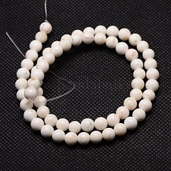 Hebras de cuentas redondas de magnesita natural&nbsp;TURQ-L016-01-8mm