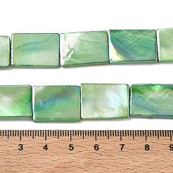 Naturali di acqua dolce perline shell fili&nbsp;SH-CBACA76-15