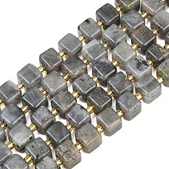 Natur Labradorit Perlen Stränge&nbsp;G-F832-A09-01